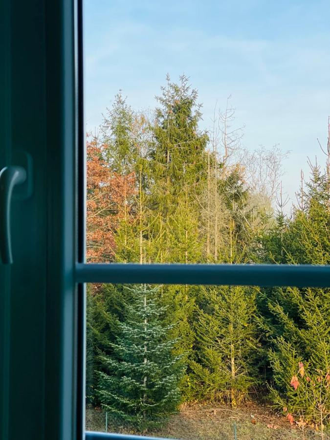 Apartment "Le Briand" Charming Base For Your Sightseeing In Touraine Нуази Экстерьер фото